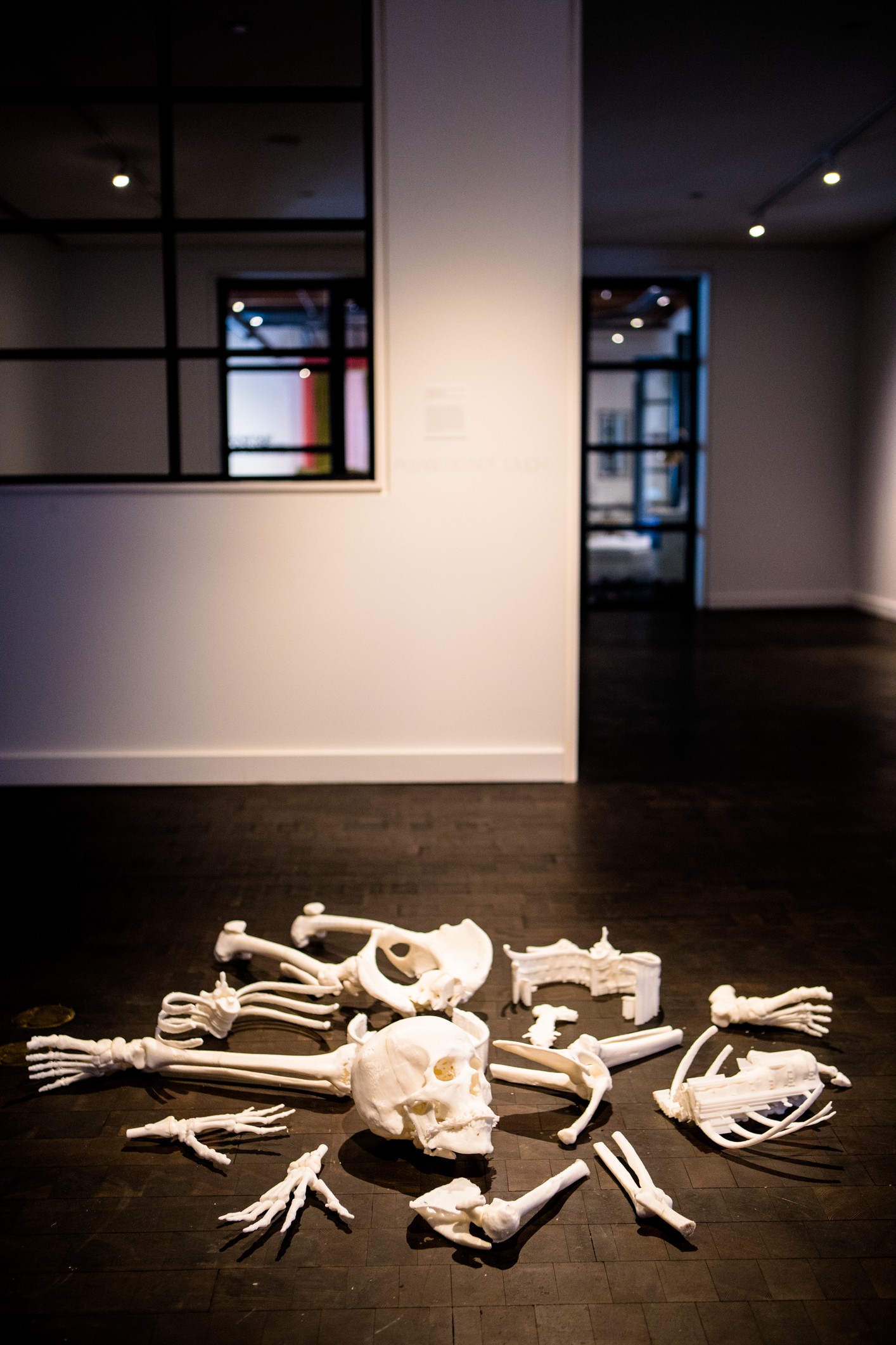 Digital Body Print Installation OCMA